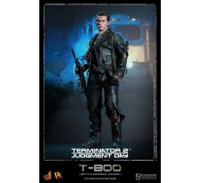 Terminator 2 DX Action Figure 1/6 T-800 Battle Damaged 32 cm (faulty T-1000)
